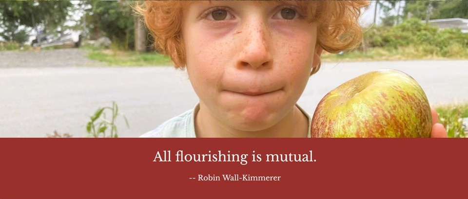 Boy with apples