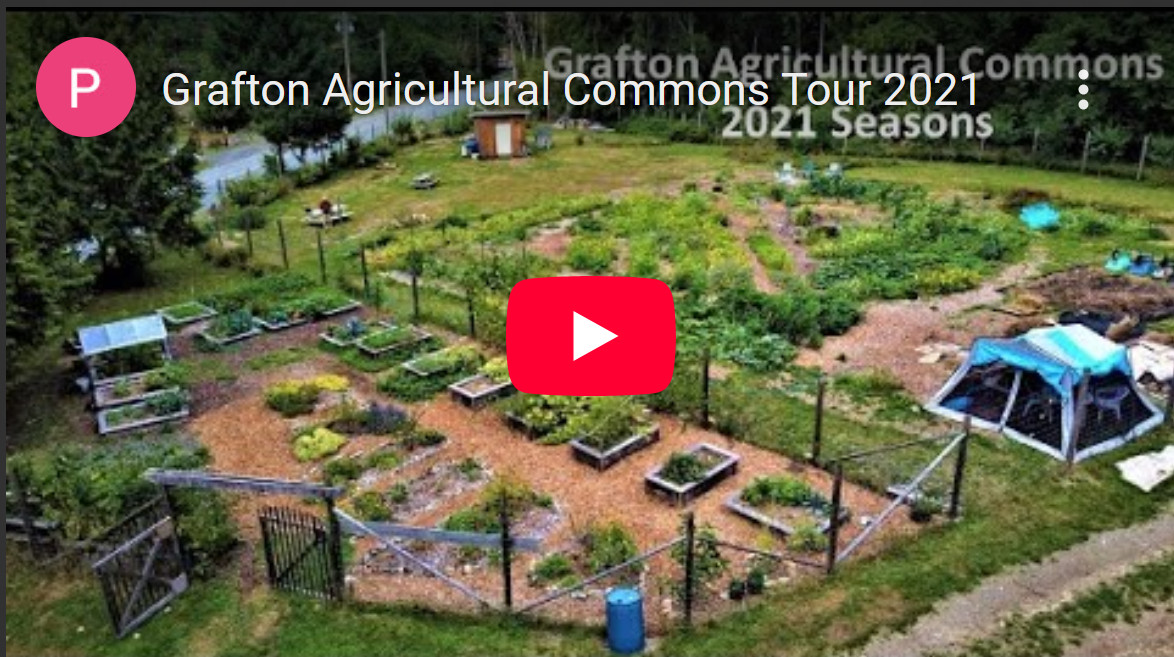 Grafton Gardens 2021