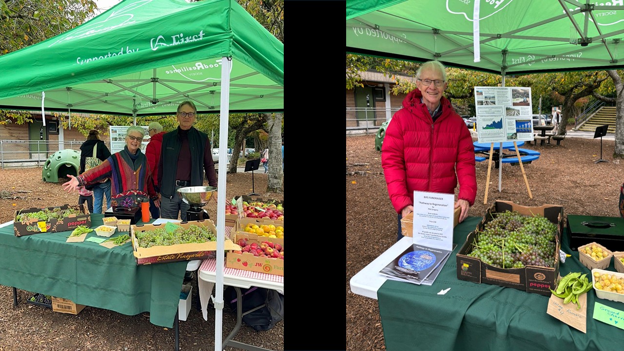 Farmers market
