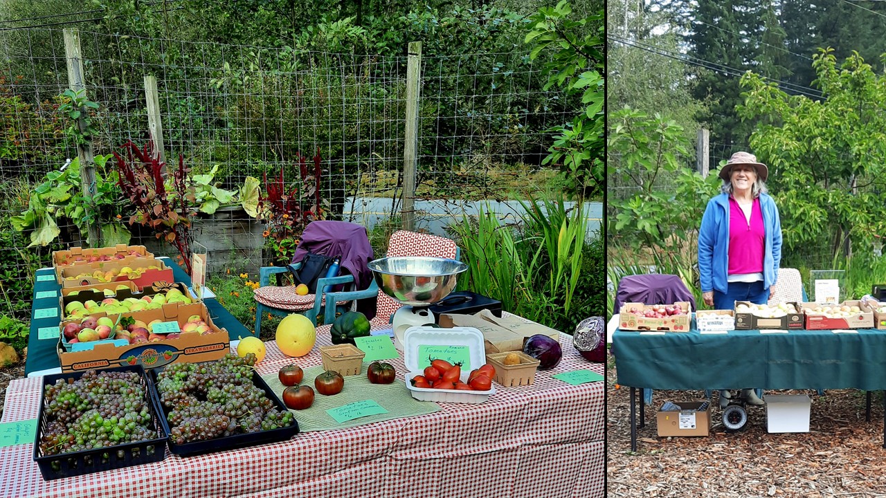Pop-up Market