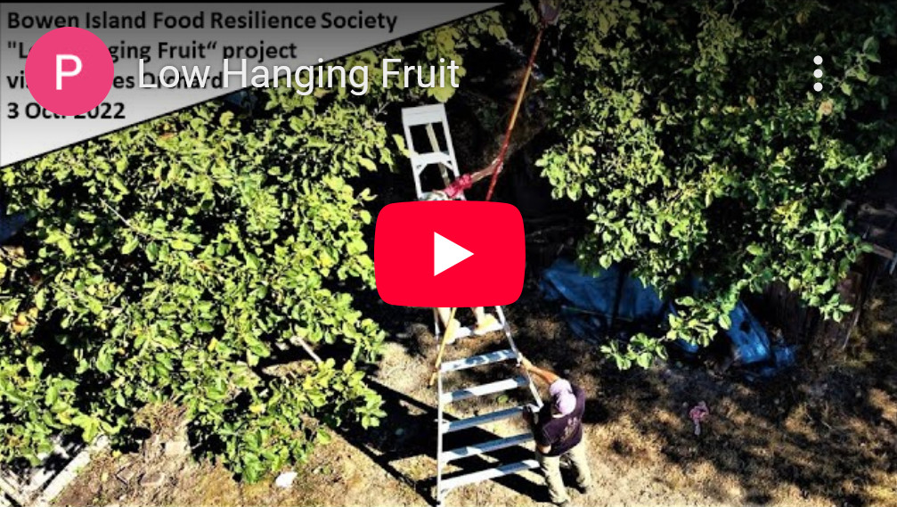 Low Hanging Fruit Thumbnail